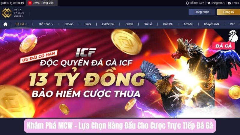 MCW - Nền tảng đá gà trực tiếp hàng đầu 2024