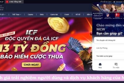 Khám Phá MCW – Lựa Chọn Hàng Đầu Cho Cược Trực Tiếp Đá Gà