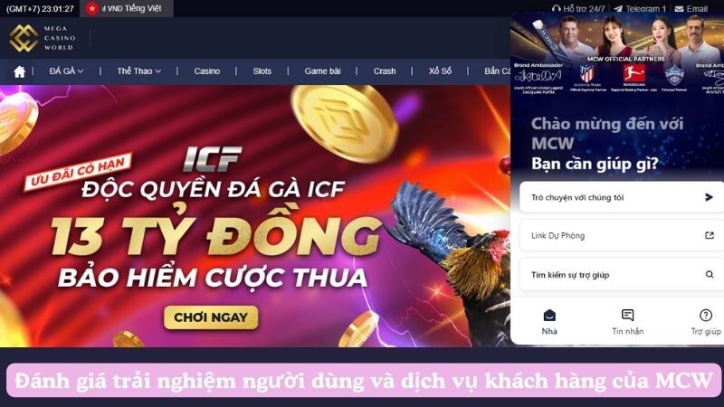 Đánh giá trải nghiệm người dùng và dịch vụ khách hàng của MCW